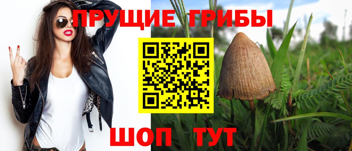 Галлюциногенные грибы ЛСД Арсеньев