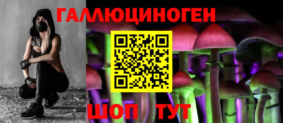 Галлюциногенные грибы Psilocybe  Галлюциногенные грибы мицелий  Арсеньев  Вход с VPN 